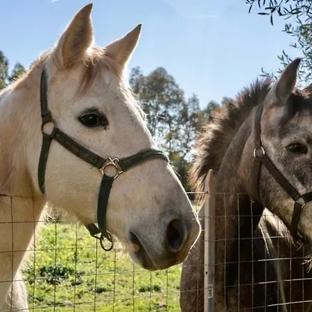 Ferienhaus Casa Provence Family & Friends Mare & Natura *